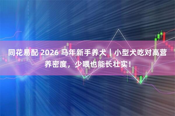 同花易配 2026 马年新手养犬｜小型犬吃对高营养密度，少喂也能长壮实！