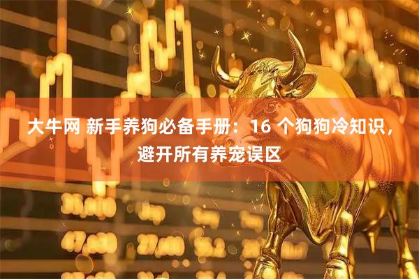 大牛网 新手养狗必备手册：16 个狗狗冷知识，避开所有养宠误区
