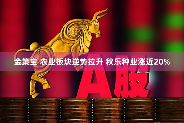 金策宝 农业板块逆势拉升 秋乐种业涨近20%