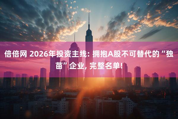 倍倍网 2026年投资主线: 拥抱A股不可替代的“独苗”企业, 完整名单!