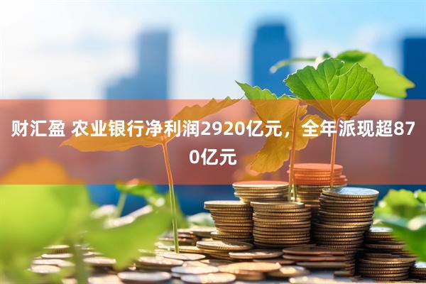 财汇盈 农业银行净利润2920亿元，全年派现超870亿元
