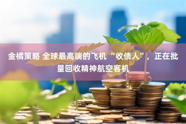 金橘策略 全球最高端的飞机 “收债人”，正在批量回收精神航空客机