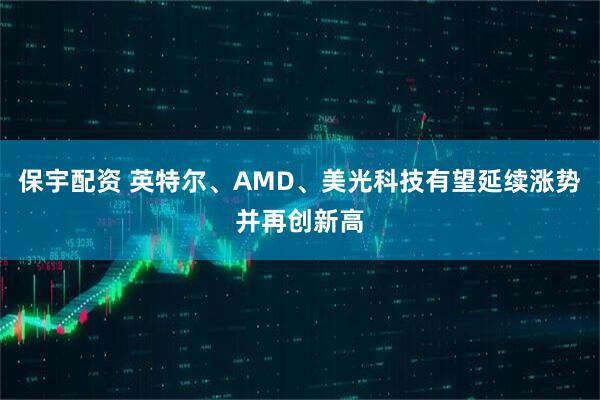 保宇配资 英特尔、AMD、美光科技有望延续涨势并再创新高