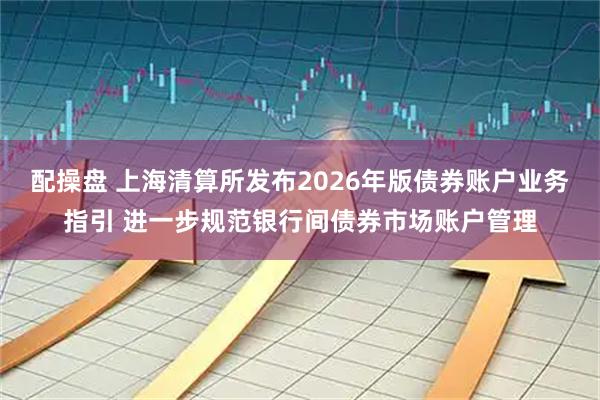 配操盘 上海清算所发布2026年版债券账户业务指引 进一步规范银行间债券市场账户管理