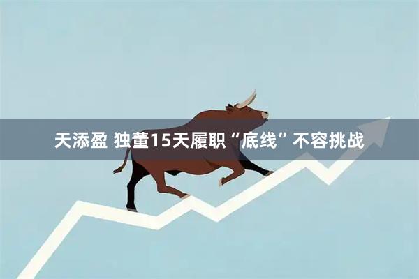 天添盈 独董15天履职“底线”不容挑战