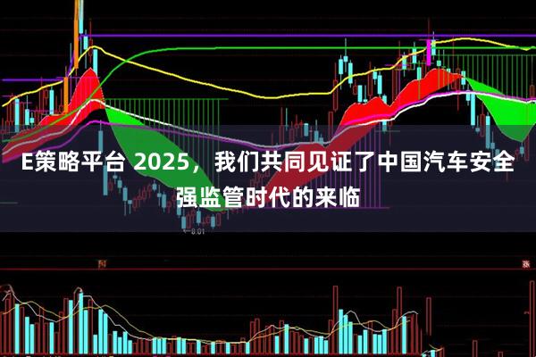 E策略平台 2025，我们共同见证了中国汽车安全强监管时代的来临