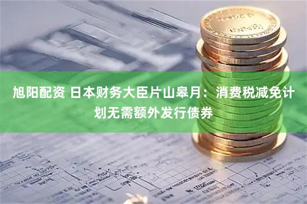 旭阳配资 日本财务大臣片山皋月：消费税减免计划无需额外发行债券
