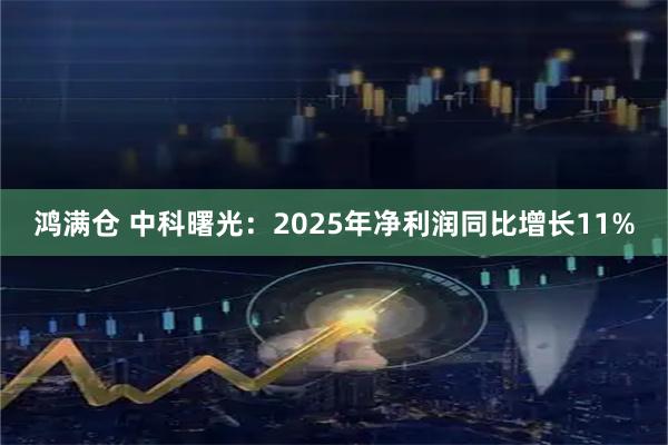 鸿满仓 中科曙光：2025年净利润同比增长11%