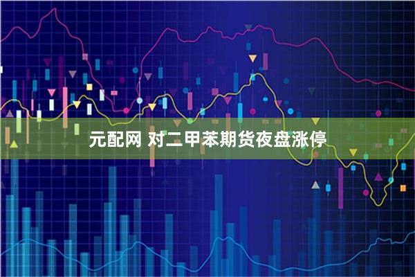 元配网 对二甲苯期货夜盘涨停