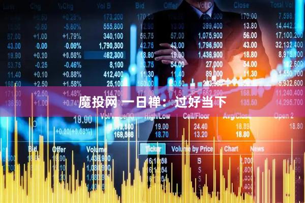 魔投网 一日禅：过好当下