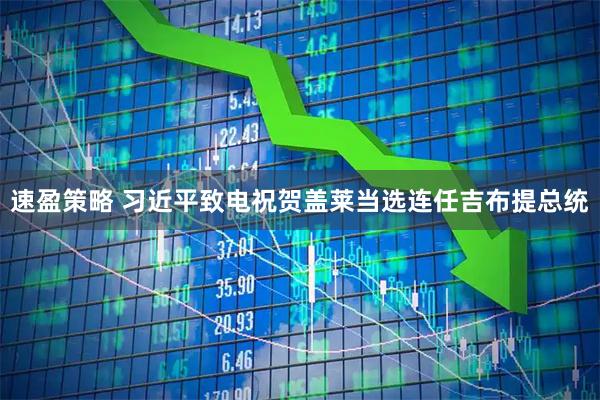 速盈策略 习近平致电祝贺盖莱当选连任吉布提总统
