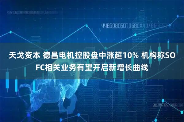 天戈资本 德昌电机控股盘中涨超10% 机构称SOFC相关业务有望开启新增长曲线